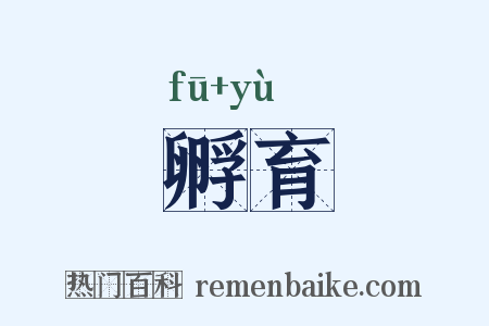 孵育是什么意思的图片